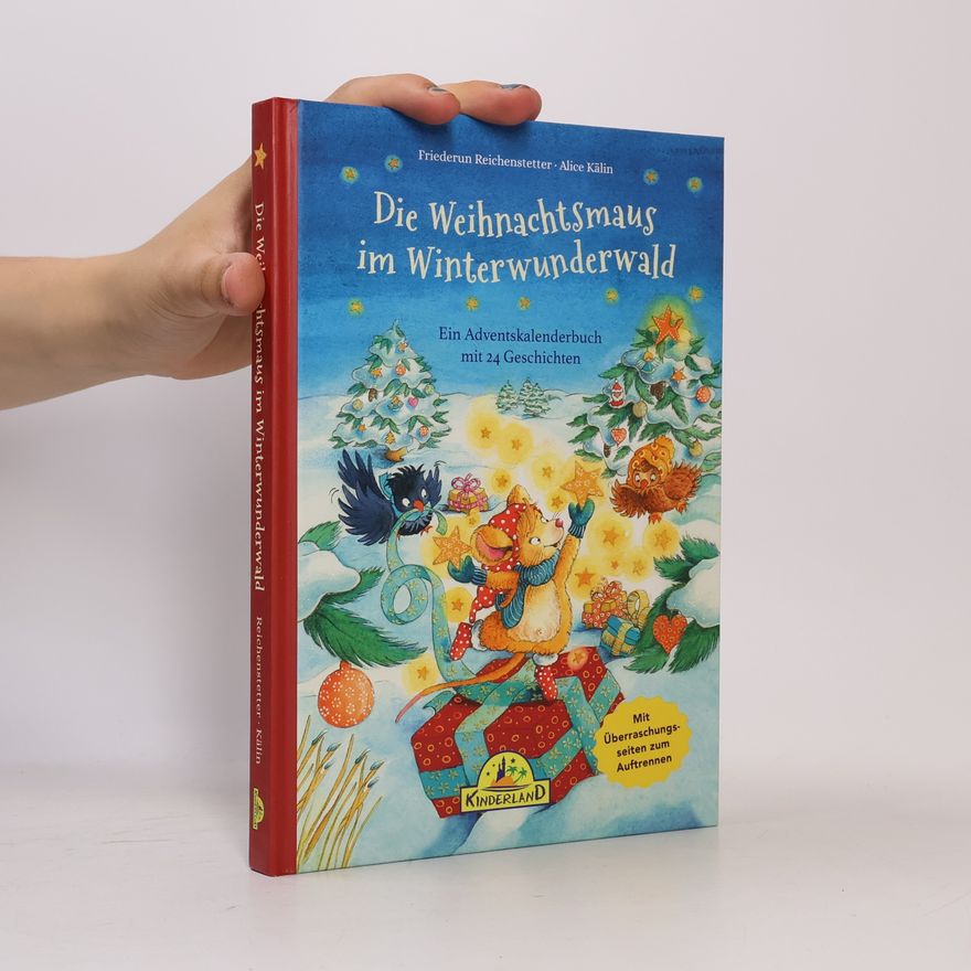 Friederun Reichenstetter Die Weihnachtsmaus im Winterwunderwald