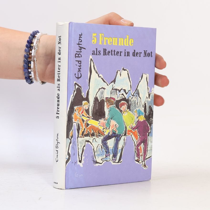 Enid Blyton 5 Freunde als Retter in der Not