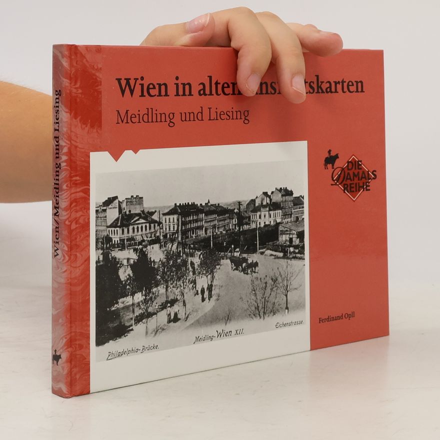 Kolektiv autorů Wien in alten Ansichtskarten