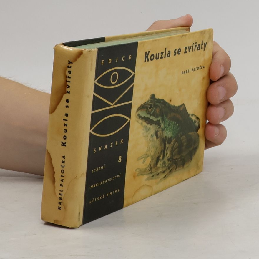 Autorenkollektiv Kouzla se zvířaty