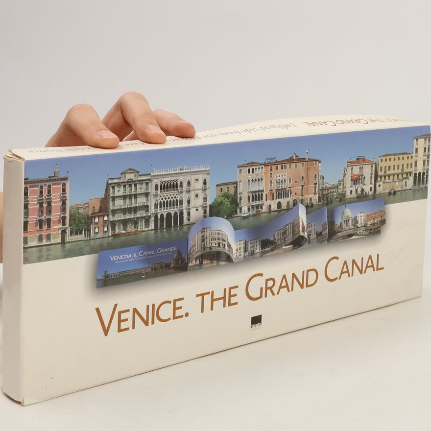Daniele Resini Venice. The Grand Canal