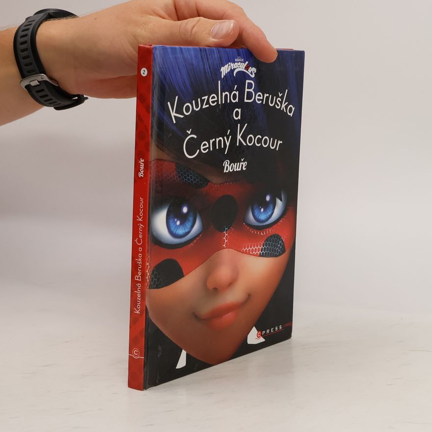 Kateřina Hošková Kouzelná Beruška a Černý Kocour. Bouře