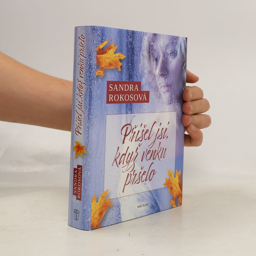 Sandra Rokosová Přišel jsi, když venku pršelo