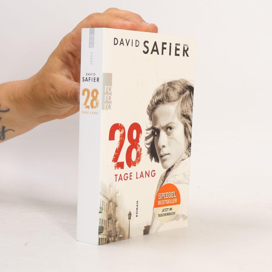 David Safier 28 Tage lang