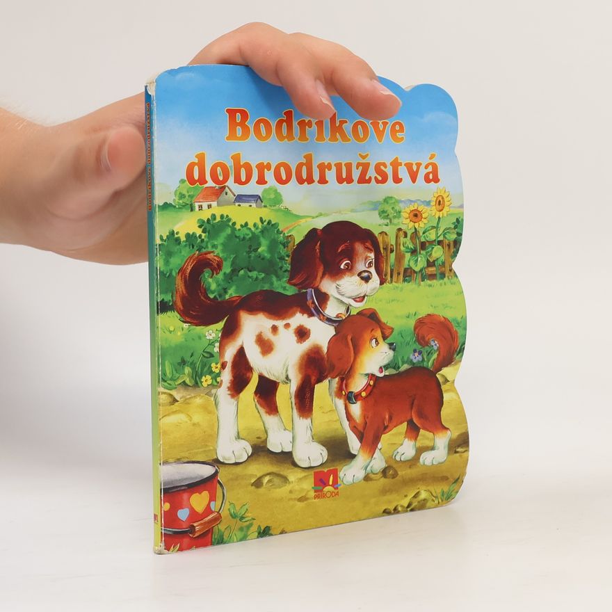 Autorenkollektiv Bodríkové dobrodružstvá