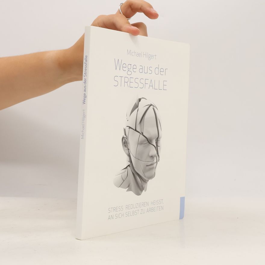 Michael Hilgert Wege aus der Stressfalle