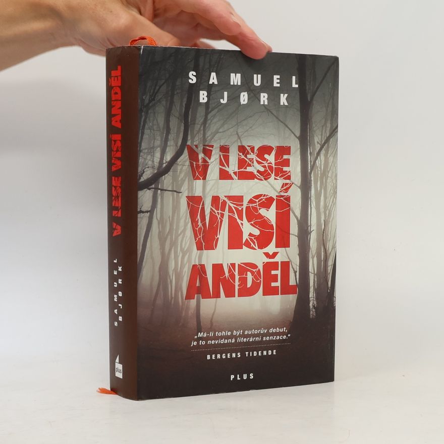Samuel Bjork V lese visí anděl