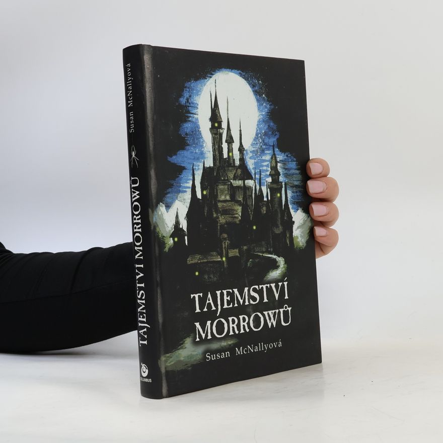 Susan McNally Tajemství Morrowů.