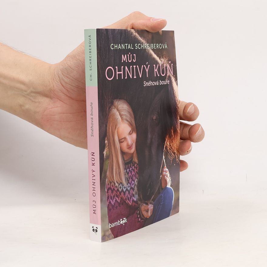 Chantal Schreiber Můj ohnivý kůň. Sněhová bouře