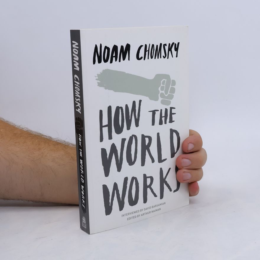 Noam Chomsky How the world works