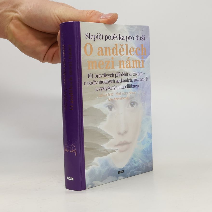Amy Newmark Slepičí polévka pro duši - o andělech mezi námi