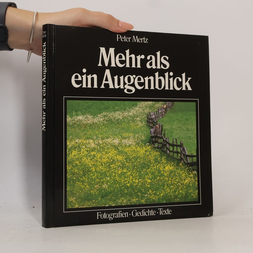 Peter Mertz Mehr als ein Augenblick