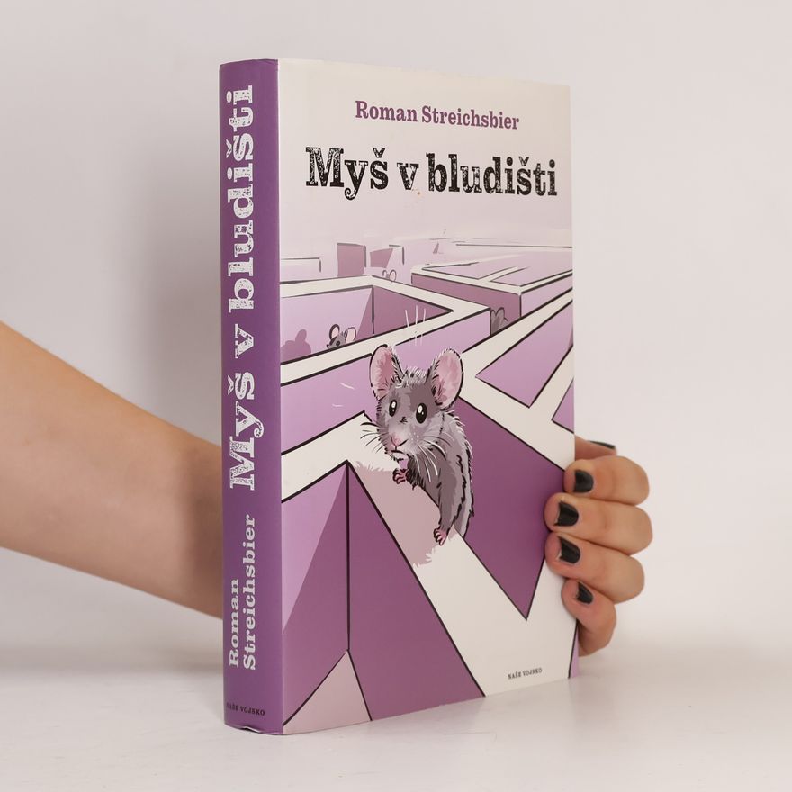 Roman Streichsbier Myš v bludišti