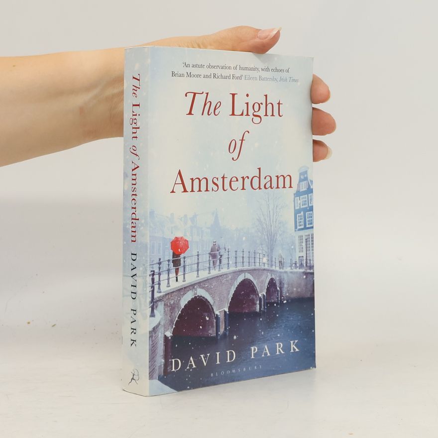 David Park The Light of Amsterdam