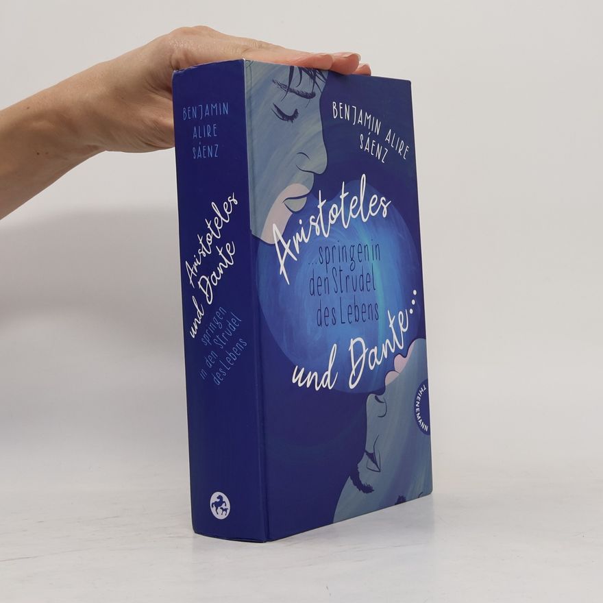 Benjamin Alíre Sáenz Aristoteles und Dante springen in den Strudel des Lebens