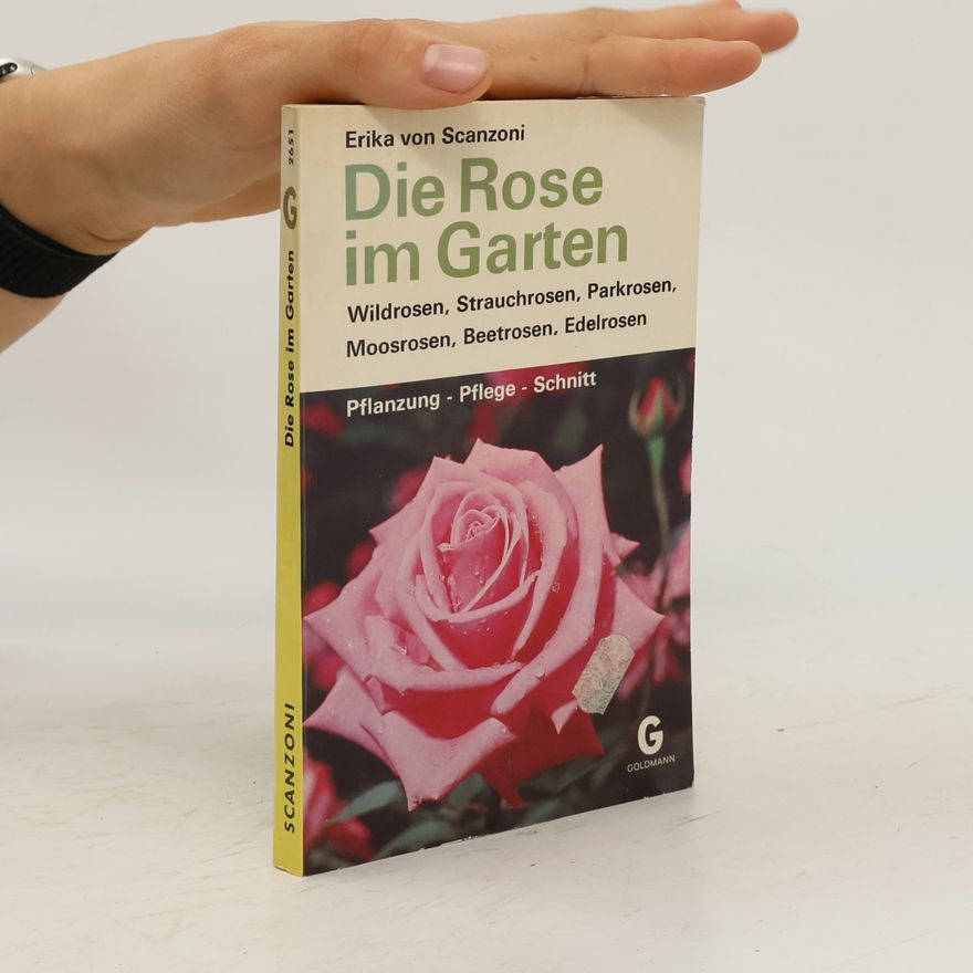 Erika von Scanzoni Die Rose im Garten