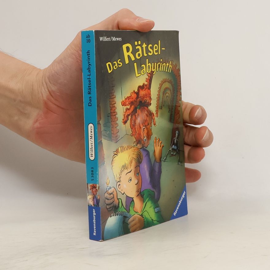 Chris Mewes Das Rätsel-Labyrinth