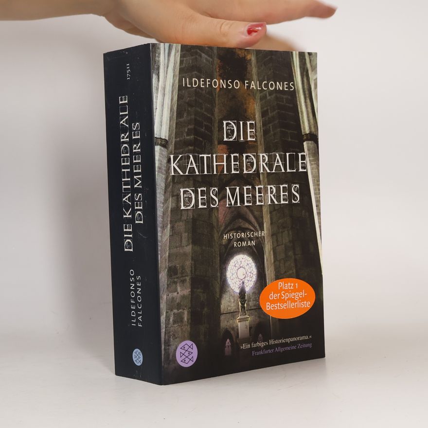 Ildefonso Falcones Die Kathedrale des Meeres