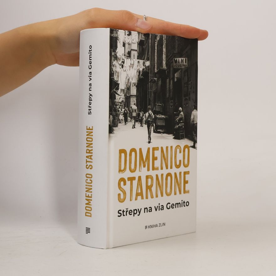 Domenico Starnone Střepy na via Gemito
