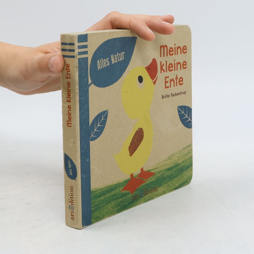 Britta Teckentrup Meine kleine Ente