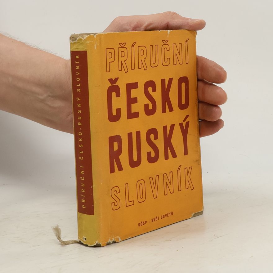 Autorenkollektiv Příruční česko-ruský slovník