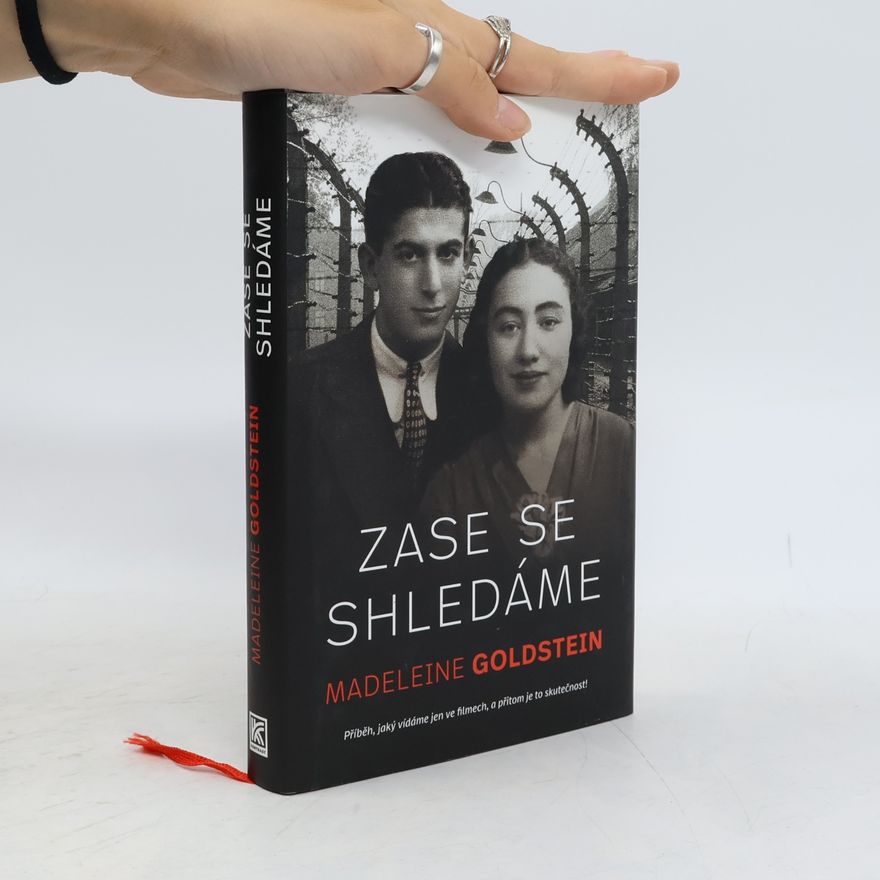 Madeleine Goldstein Zase se shledáme
