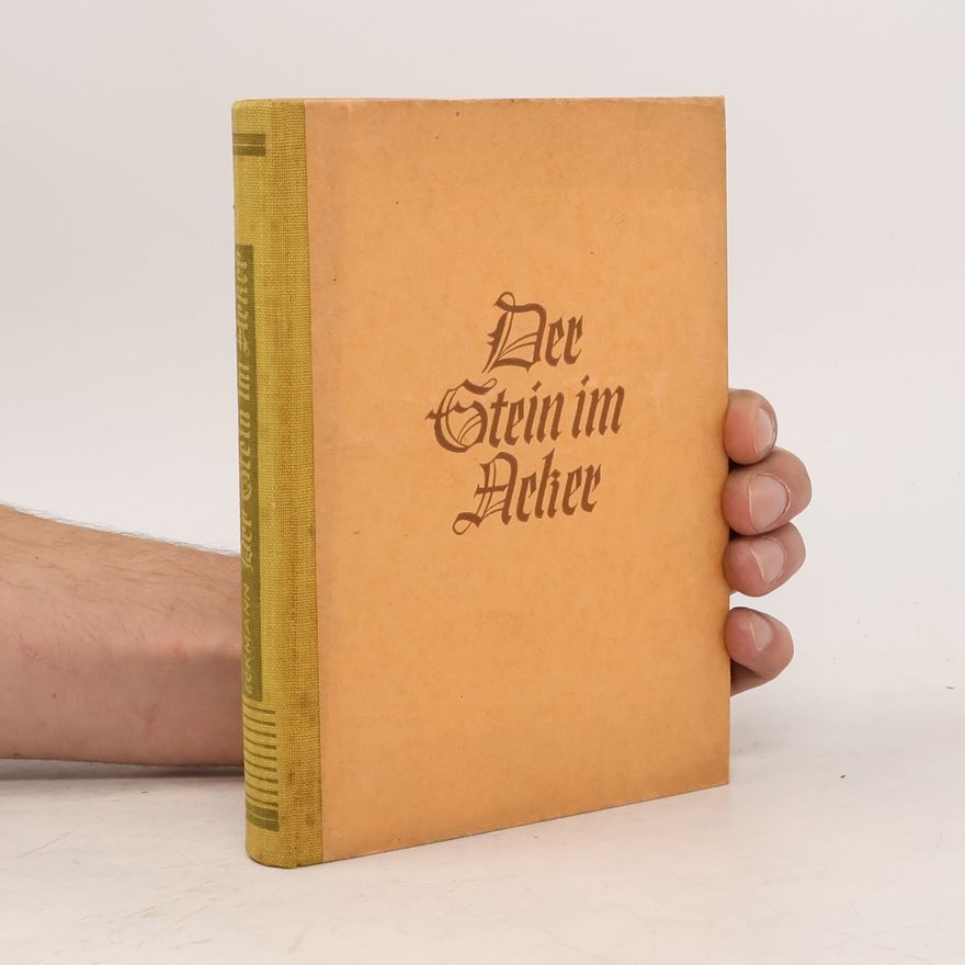 Heinrich Eckmann Der Stein im Acker