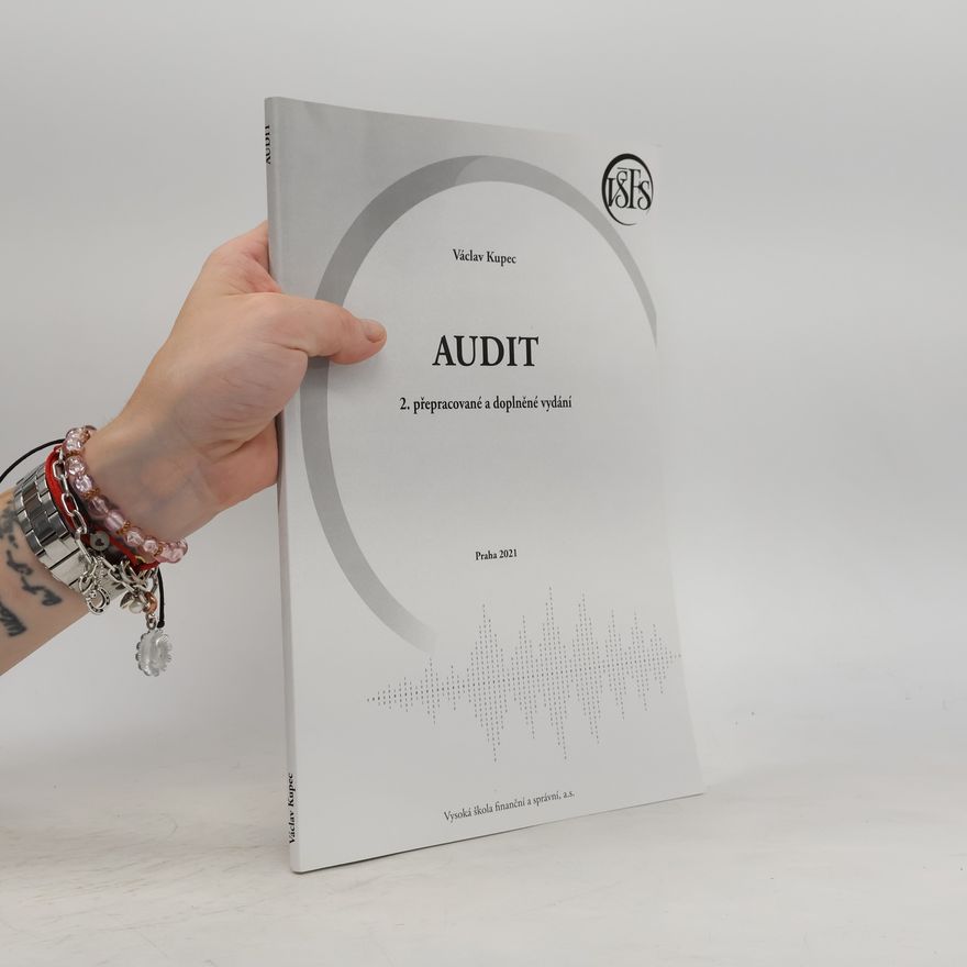 Václav Kupec Audit
