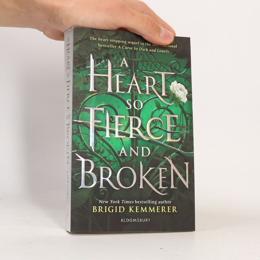 Brigid Kemmerer A Heart So Fierce and Broken
