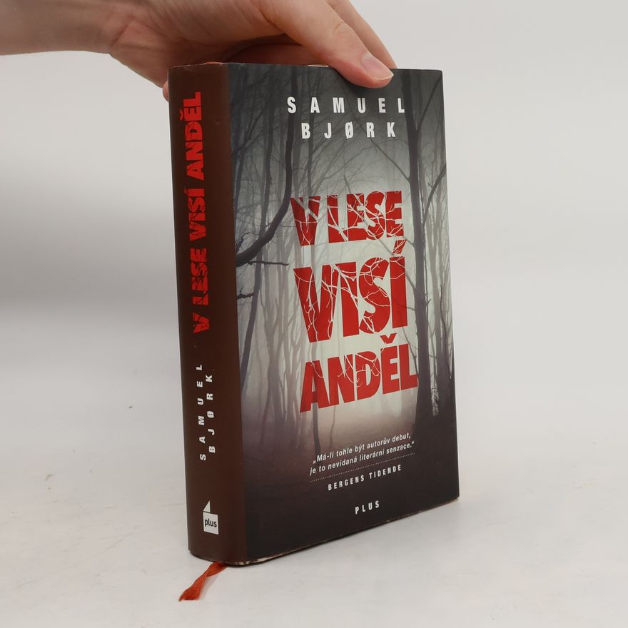 Samuel Bjork V lese visí anděl