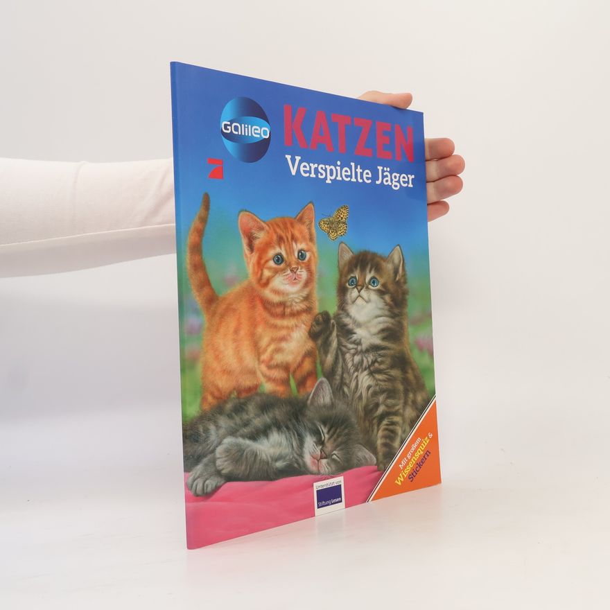 Autorenkollektiv Katzen verspielte Jäger