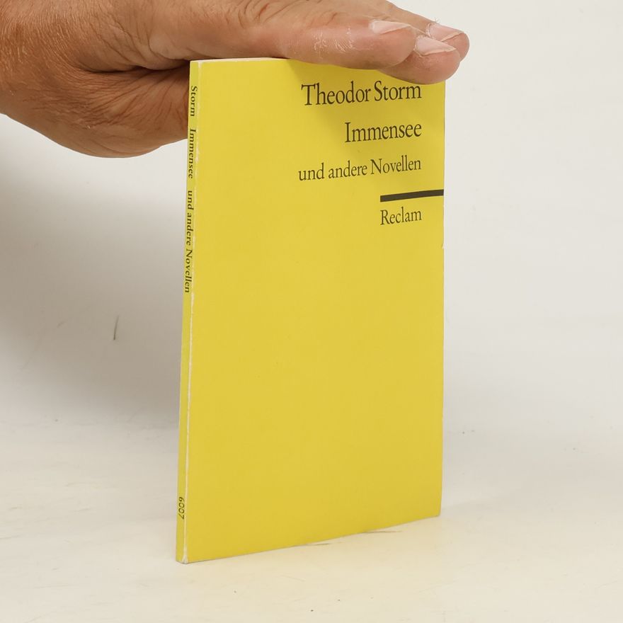 Theodor Storm Immensee und andere Novellen