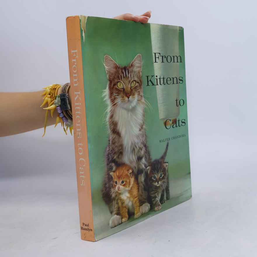 Walter Chandoha From Kittens to Cats