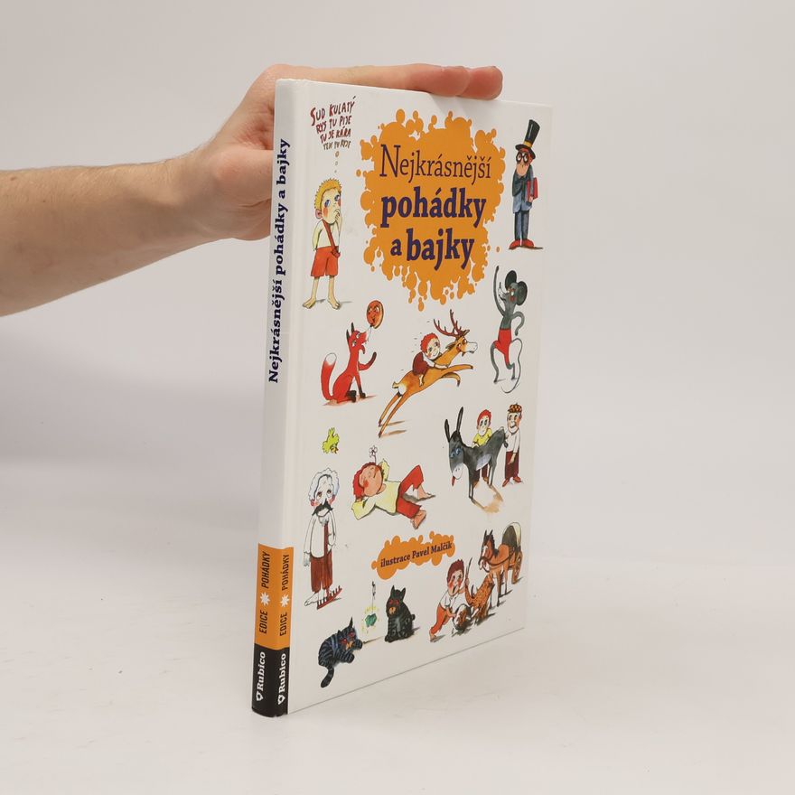 Autorenkollektiv Nejkrásnější pohádky a bajky