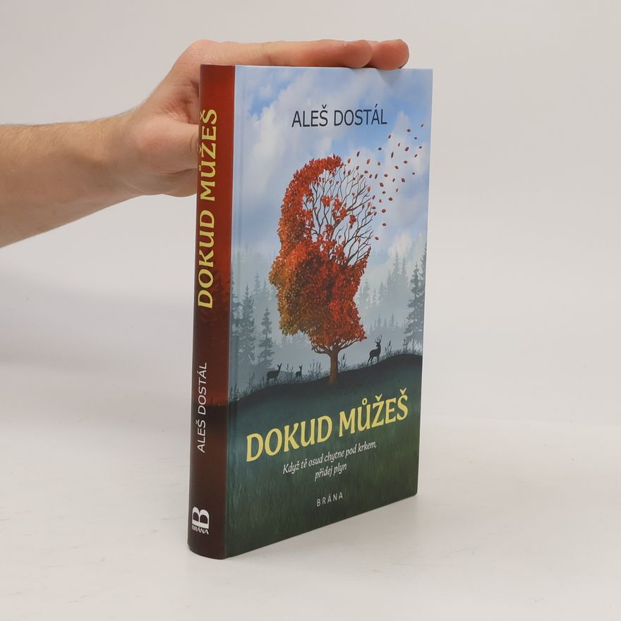 Aleš Dostál Dokud můžeš