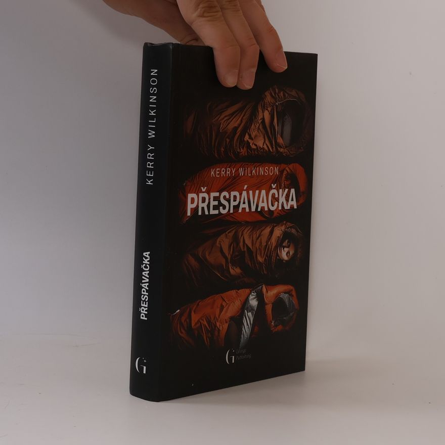 Kerry Wilkinson Přespávačka