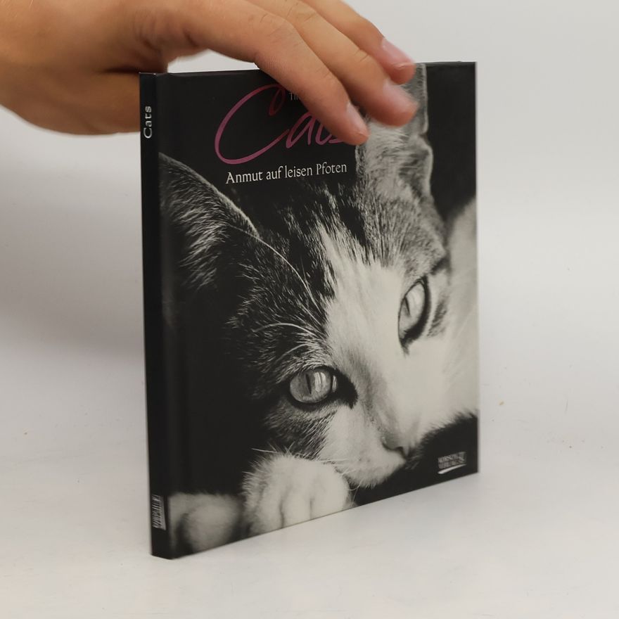 Tilo Rausch Cats