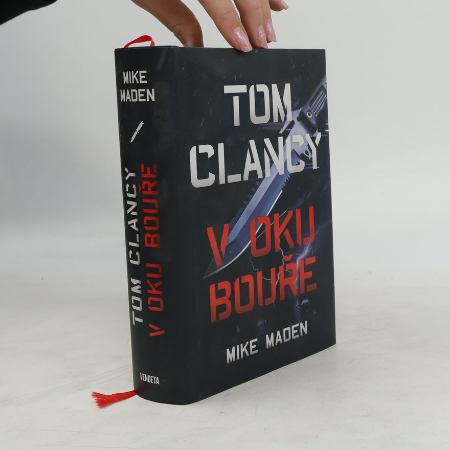 Mike Maden V oku bouře