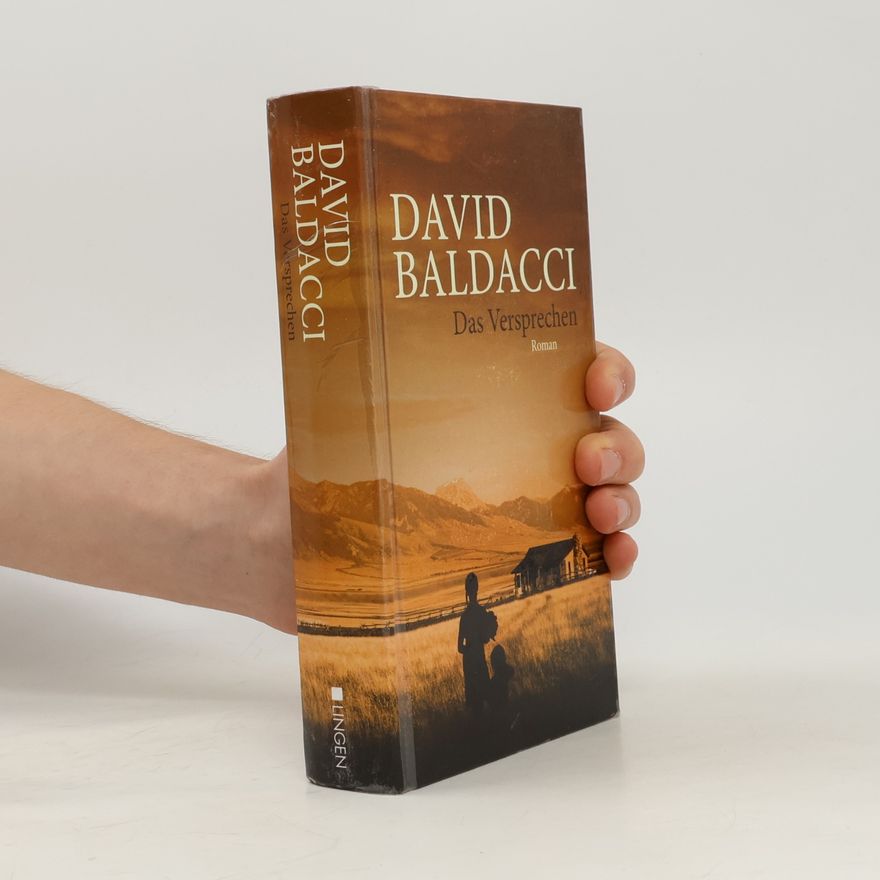 David Baldacci Das Versprechen