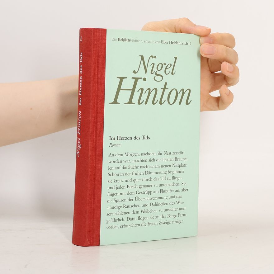 Nigel Hinton Im Herzen des Tals 4