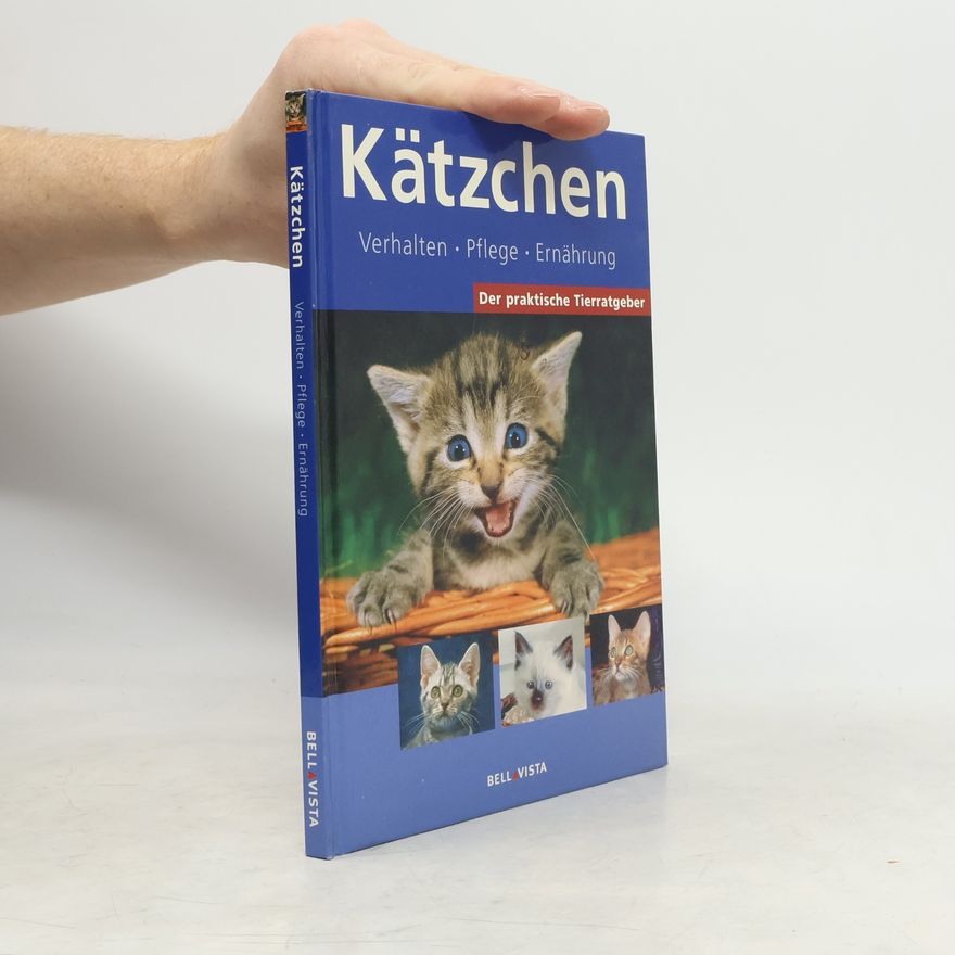 Autorenkollektiv Der praktische Tierratgeber: Kätzchen
