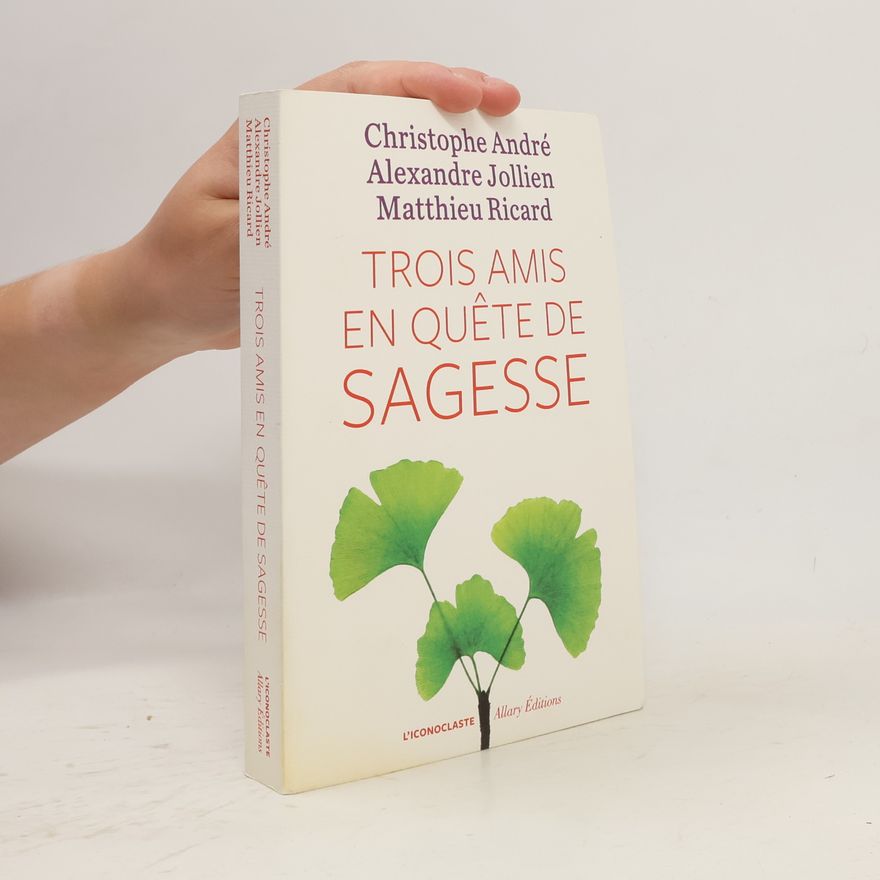 Christophe André Trois amis en quête de sagesse