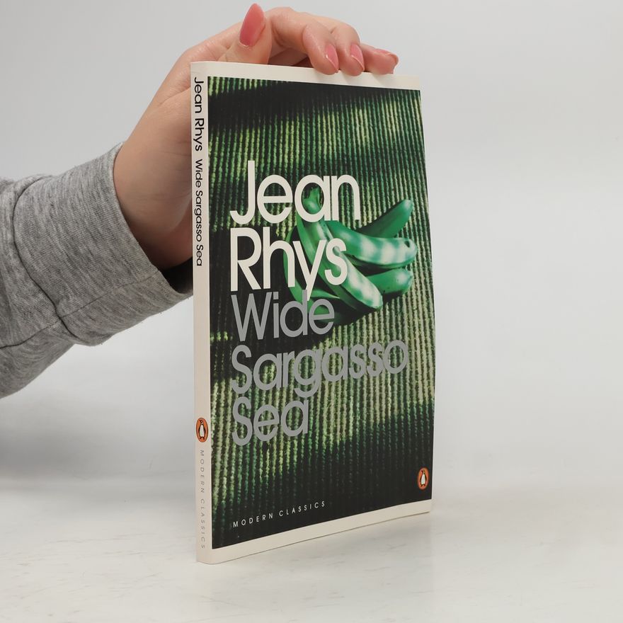 Jean Rhys Wide Sargasso Sea
