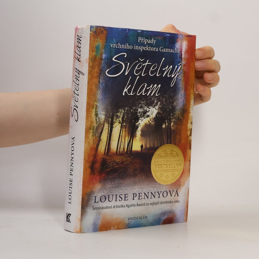 Louise Penny Světelný klam