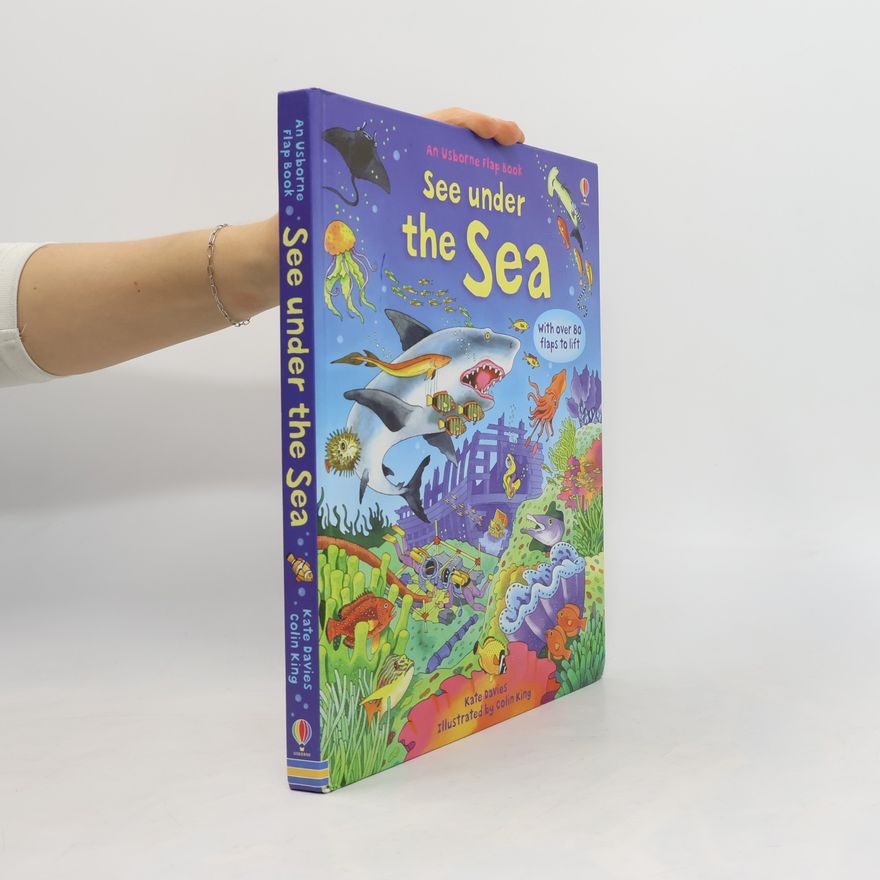 Kate Davies Usborne Flap Book: See Under the Sea