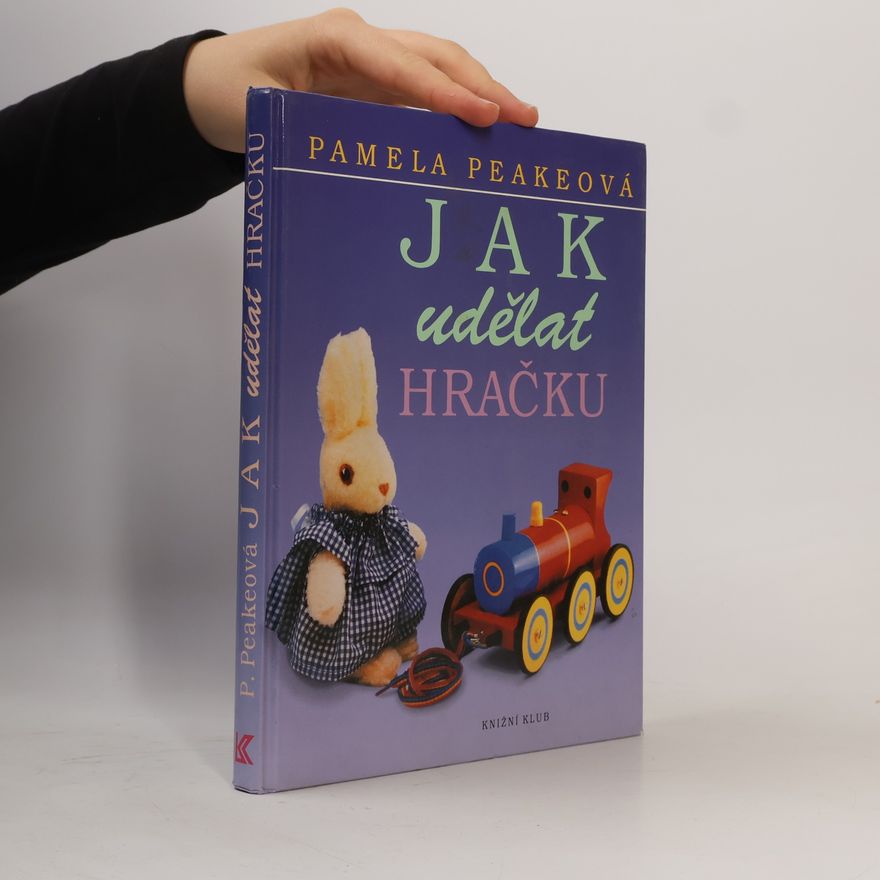 Petr Hejný Jak udělat hračku