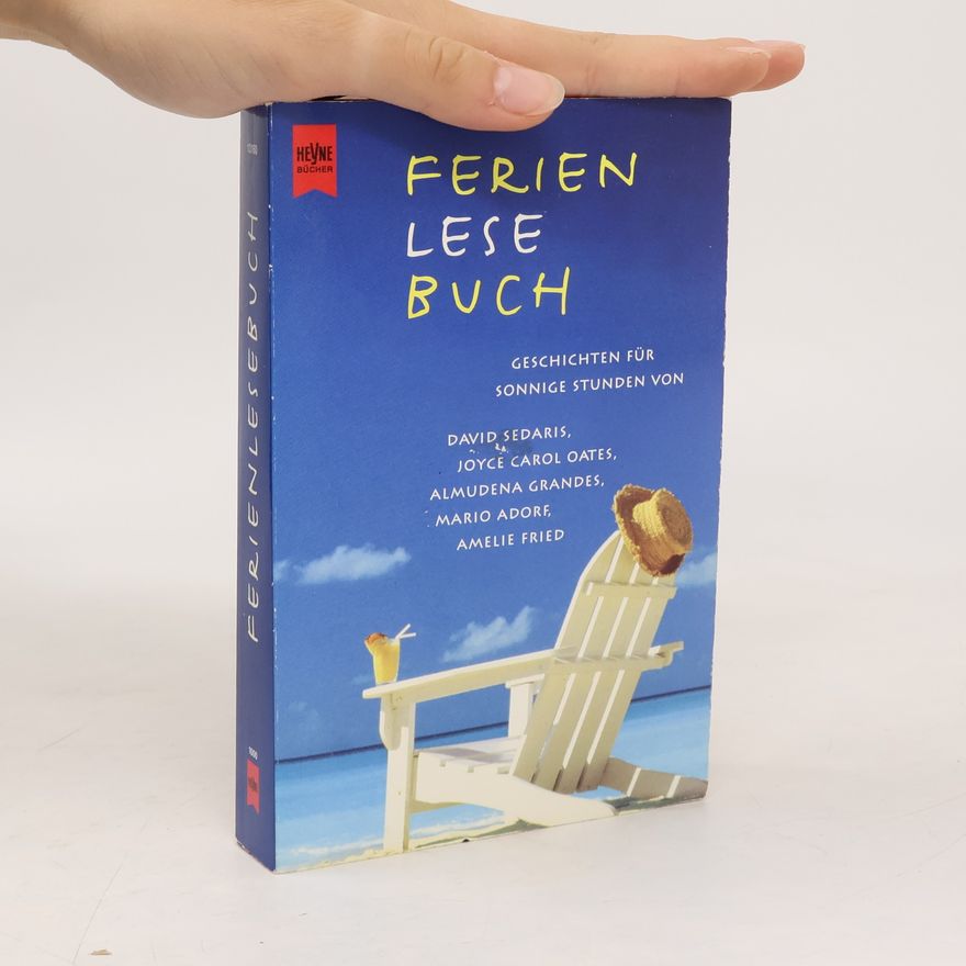 Kolektiv autorů Ferienlesebuch