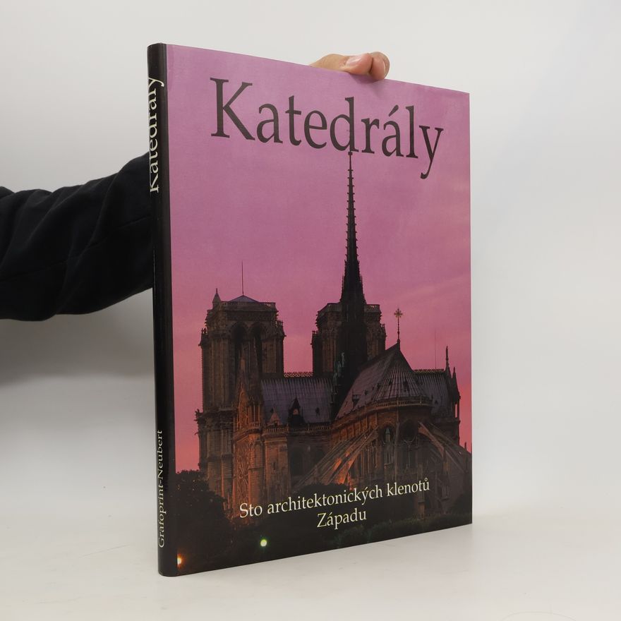Josef Matějů Katedrály. Sto architektonických klenotů Západu