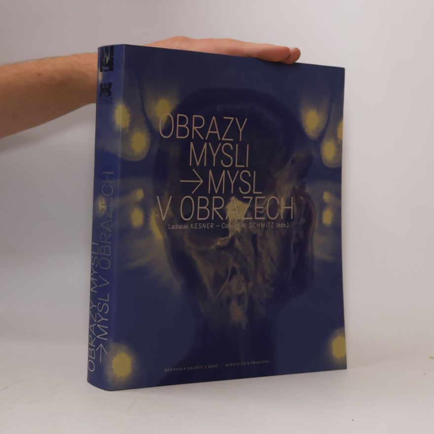 Colleen M. Schmitz Obrazy mysli - Mysl v obrazech