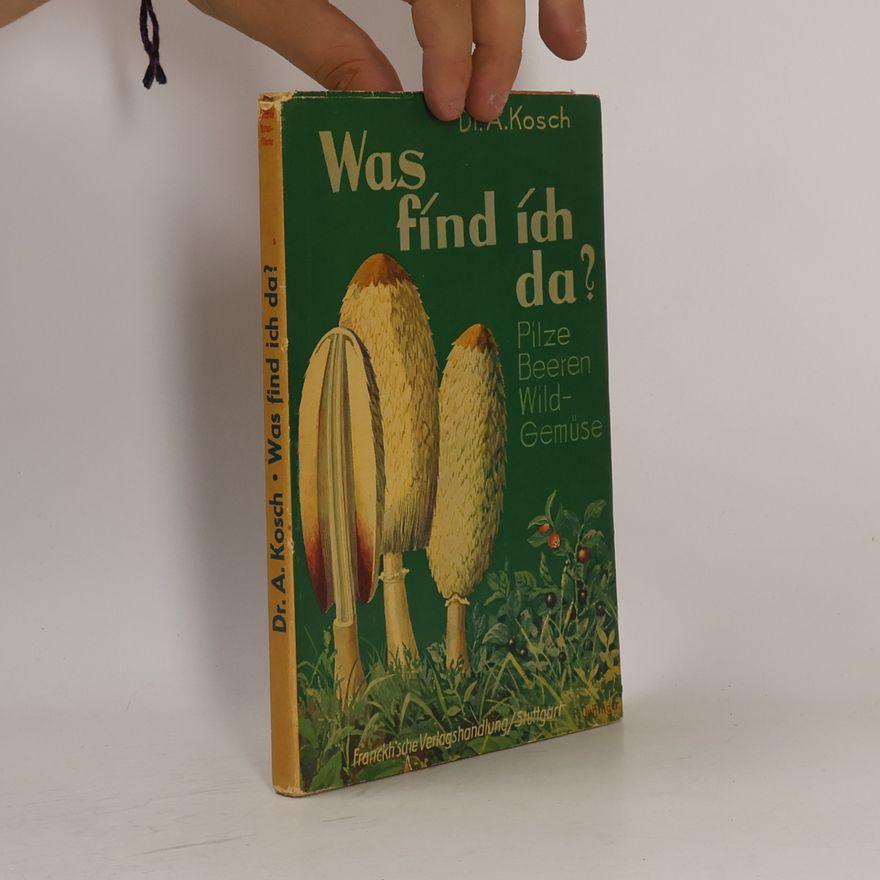 Alois Kosch Was find ich da?